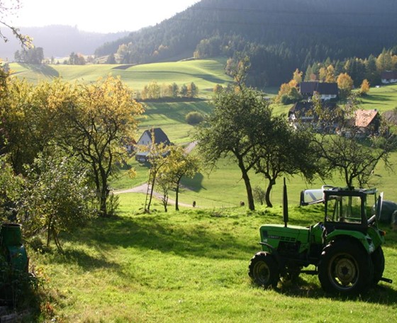 Social Ethical and Human Issues: Standard: BCS-CA1-1