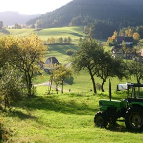 Social Ethical and Human Issues: Standard: BCS-CA1-1