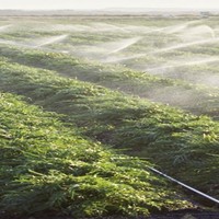 Портфолио Hugo D. Orellana